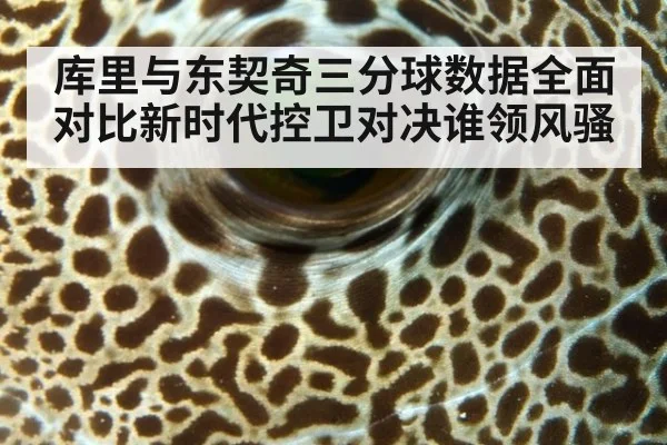 库里与东契奇三分球数据全面对比新时代控卫对决谁领风骚