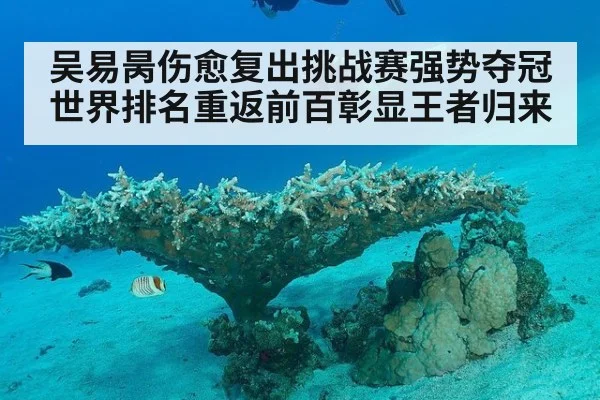 吴易昺伤愈复出挑战赛强势夺冠世界排名重返前百彰显王者归来